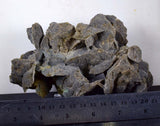 15cms SELENITE DESERT ROSE Gypsum Crystals Collectors Peru Mineral Specimen t303