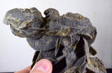 15cms SELENITE DESERT ROSE Gypsum Crystals Collectors Peru Mineral Specimen t303