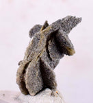 2.6cms SELENITE DESERT ROSE Gypsum Crystals Collectors Peru Mineral Specimen t309