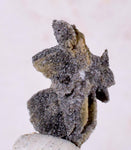 2.6cms SELENITE DESERT ROSE Gypsum Crystals Collectors Peru Mineral Specimen t309