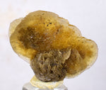 3cms SELENITE DESERT ROSE gypsum crystals collectors peru mineral specimen t289