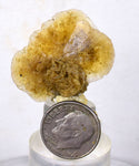 3cms SELENITE DESERT ROSE gypsum crystals collectors peru mineral specimen t289