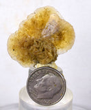 3cms SELENITE DESERT ROSE gypsum crystals collectors peru mineral specimen t289