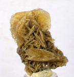 2.9cms SELENITE DESERT ROSE gypsum crystals collectors peru mineral specimen t290