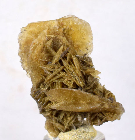2.9cms SELENITE DESERT ROSE gypsum crystals collectors peru mineral specimen t290