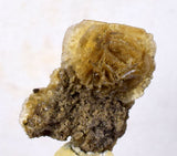 2.9cms SELENITE DESERT ROSE gypsum crystals collectors peru mineral specimen t290