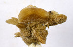 4cms SELENITE DESERT ROSE gypsum crystals collectors peru mineral specimen t291