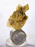 3.2cms SELENITE DESERT ROSE gypsum crystals collectors peru mineral specimen t295