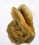2.8cms SELENITE DESERT ROSE gypsum crystals collectors peru mineral specimen t296