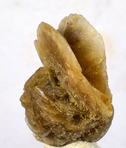 2.8cms SELENITE DESERT ROSE gypsum crystals collectors peru mineral specimen t296