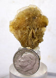 2.8cms SELENITE DESERT ROSE gypsum crystals collectors peru mineral specimen t296