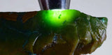 213 Grams GEM SILICA CHRYSOCOLLA Multicolor Chalcedony Emerald Jade Color Lily Mine S19
