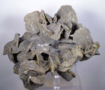 13cms SELENITE DESERT ROSE gypsum crystals collectors peru mineral specimen t261