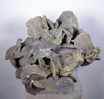 13cms SELENITE DESERT ROSE gypsum crystals collectors peru mineral specimen t261