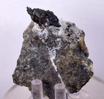6.1cm ACANTHITE PYRARGIRITE QUARTZ Pyrite Mangano Calcite Mineral Peru HE218