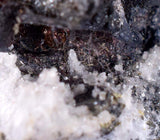 6.1cm ACANTHITE PYRARGIRITE QUARTZ Pyrite Mangano Calcite Mineral Peru HE218