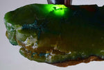 213 Grams GEM SILICA CHRYSOCOLLA Multicolor Chalcedony Emerald Jade Color Lily Mine S19