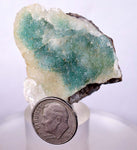 4.5cms DRUZY CHRYSOCOLLA STALACTITE peru mineral specimen D181
