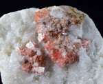 4.3cms RHODOCHROSITE RHOMBOHEDRAL QUARTZ Crystals Huayllapon Pasto Bueno Mine Peru Collector Mineral Specimen R195