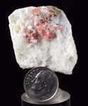4.3cms RHODOCHROSITE RHOMBOHEDRAL QUARTZ Crystals Huayllapon Pasto Bueno Mine Peru Collector Mineral Specimen R195