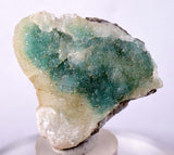 4.5cms DRUZY CHRYSOCOLLA STALACTITE peru mineral specimen D181