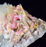 7.8cms RHODOCHROSITE RHOMBOHEDRAL QUARTZ Crystals Huayllapon Pasto Bueno Mine Peru Collector Mineral Specimen R190