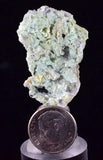 3.8cms CHRYSOCOLLA SELENITE GYPSUM Crystal Lily Mine Peru 2000 Discovery Transparent Mineral Specimen T321