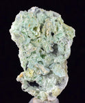 3.8cms CHRYSOCOLLA SELENITE GYPSUM Crystal Lily Mine Peru 2000 Discovery Transparent Mineral Specimen T321