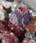 5.1cms RHODOCHROSITE CRYSTALS Peru Manganite 2000 Year Discovery Uchucchacua Mine Gemstone Collector Mineral Specimen R291