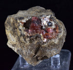5.1cms RHODOCHROSITE CRYSTALS Peru Manganite 2000 Year Discovery Uchucchacua Mine Gemstone Collector Mineral Specimen R291