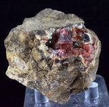 5.1cms RHODOCHROSITE CRYSTALS Peru Manganite 2000 Year Discovery Uchucchacua Mine Gemstone Collector Mineral Specimen R291