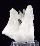 6.5cms HUBNERITE QUARTZ CRYSTALS Mineral Specimen Collector Peru M186