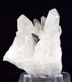 6.5cms HUBNERITE QUARTZ CRYSTALS Mineral Specimen Collector Peru M186