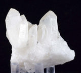 6.5cms HUBNERITE QUARTZ CRYSTALS Mineral Specimen Collector Peru M186