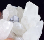 6.5cms HUBNERITE QUARTZ CRYSTALS Mineral Specimen Collector Peru M186