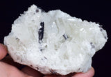 10.5cms HUBNERITE QUARTZ CRYSTALS Mineral Specimen Collector Peru M188