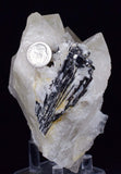10.5cms HUBNERITE QUARTZ CRYSTALS Mineral Specimen Collector Peru M189