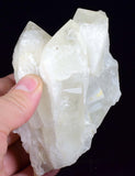 10.5cms HUBNERITE QUARTZ CRYSTALS Mineral Specimen Collector Peru M189