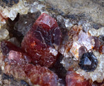 5.1cms RHODOCHROSITE CRYSTALS Peru Manganite 2000 Year Discovery Uchucchacua Mine Gemstone Collector Mineral Specimen R291