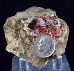 5.1cms RHODOCHROSITE CRYSTALS Peru Manganite 2000 Year Discovery Uchucchacua Mine Gemstone Collector Mineral Specimen R291