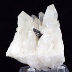 6.5cms HUBNERITE QUARTZ CRYSTALS Mineral Specimen Collector Peru M186