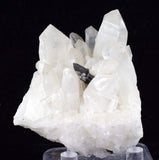 6.5cms HUBNERITE QUARTZ CRYSTALS Mineral Specimen Collector Peru M186