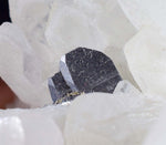 6.5cms HUBNERITE QUARTZ CRYSTALS Mineral Specimen Collector Peru M186