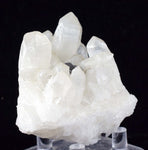 6.5cms HUBNERITE QUARTZ CRYSTALS Mineral Specimen Collector Peru M186