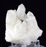 6.5cms HUBNERITE QUARTZ CRYSTALS Mineral Specimen Collector Peru M186
