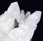 6.5cms HUBNERITE QUARTZ CRYSTALS Mineral Specimen Collector Peru M186