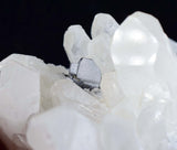 6.5cms HUBNERITE QUARTZ CRYSTALS Mineral Specimen Collector Peru M186