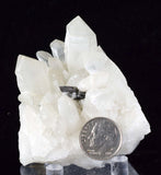 6.5cms HUBNERITE QUARTZ CRYSTALS Mineral Specimen Collector Peru M186