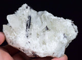 10.5cms HUBNERITE QUARTZ CRYSTALS Mineral Specimen Collector Peru M188