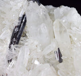 10.5cms HUBNERITE QUARTZ CRYSTALS Mineral Specimen Collector Peru M188
